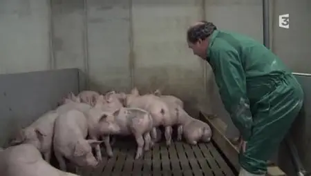 (Fr3) Adieu veau, vache, cochon, couvée (2012)