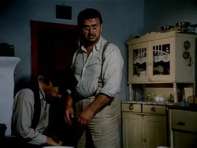 Stíny horkého léta / Shadows of a Hot Summer (1978)