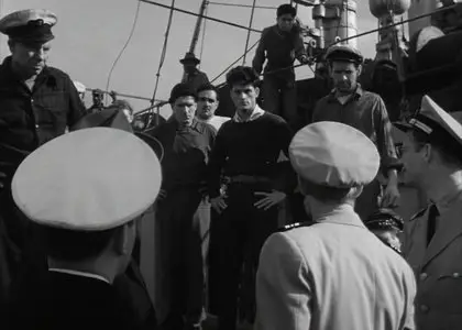 Panic in the Streets (1950)