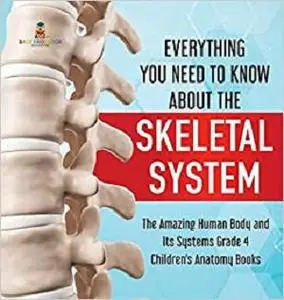 Everything You Need to Know About the Skeletal System