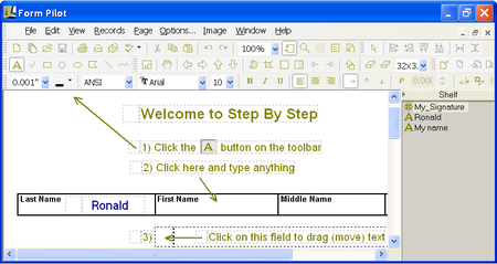 Form Pilot Office 2.72 Multilingual