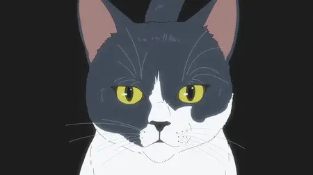 Nyaight of the Living Cat S01E01 Everything Becomes Cat