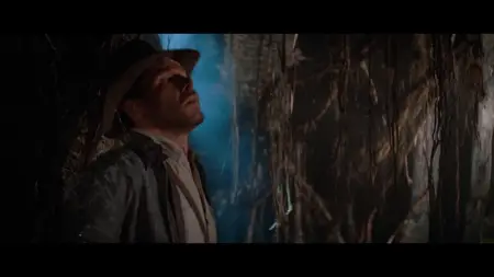 Raiders of the Lost Ark (1981)