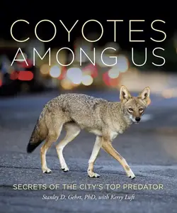 Coyotes Among Us: Secrets of the City’s Top Predator