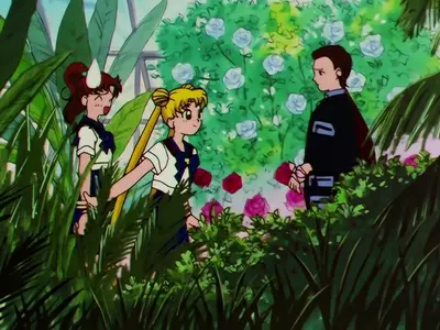 Bishoujo Senshi Sailor Moon Sailor Stars - 13  (BD 1440x1080 x 264 Flac mkv" yEnc