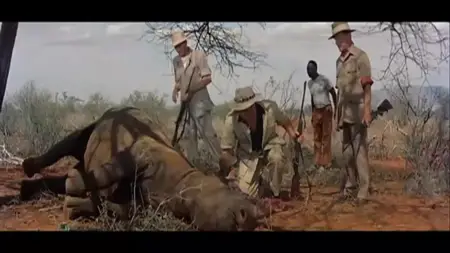 Safari (1956)