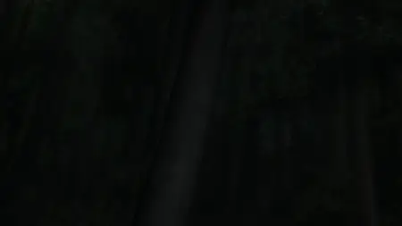 The Fable S01E16 Mountaineer Man