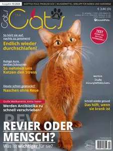 Our Cats - Oktober 2024