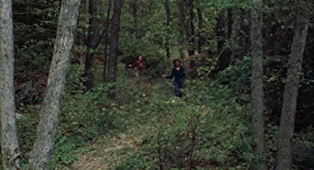 The Last House on the Left (1972)