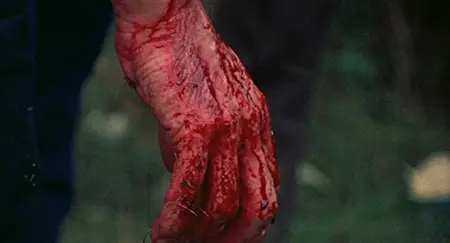 The Last House on the Left (1972)