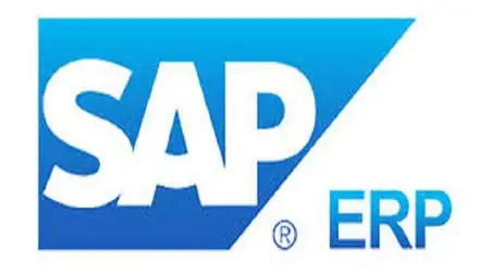 SAP ERP for Beginners Course