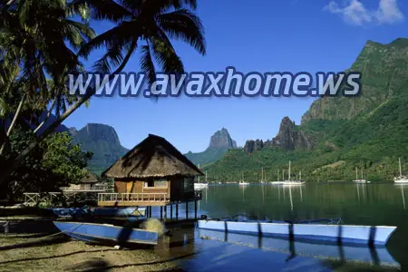 Wallpapers - Nature series