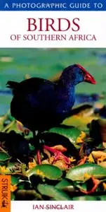 Photographic Guide Birds of Southern Africa (repost)