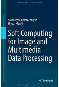 Soft Computing for Image and Multimedia Data Processing [Repost]