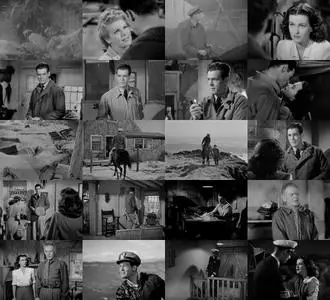 The Woman on the Beach (1947)