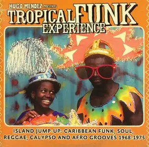 VA - Funk Experience Series (10 CDs) (2006 - 2011)