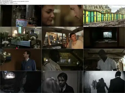 Mood Indigo (2013)