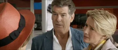 Love Punch (2013)