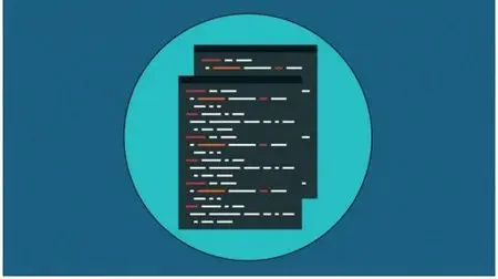 Python Crash Course: Become a successful programmer today