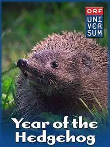 ORF - The Year of the Hedgehog (2009)