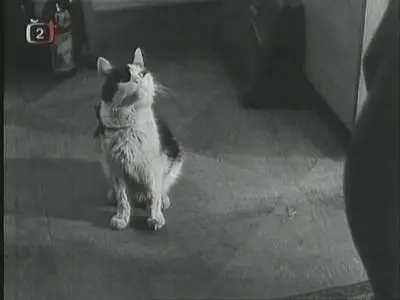 Pavel Juracek - Postava k podpirani (1963)