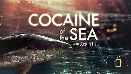 National Geographic - Explorer: Cocaine of the Sea (2017)