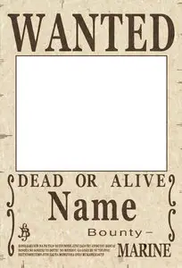 One Piece Wanted Poster