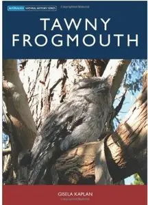 Tawny Frogmouth