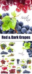 Stock Photo - Red & Dark Grapes