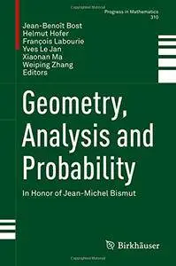 Geometry, Analysis and Probability: In Honor of Jean-Michel Bismut (Progress in Mathematics) [repost]