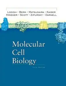 Molecular Cell Biology Hardcover (5 edition) (Repost)