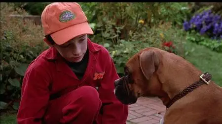 Good Boy! (2003)