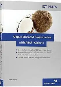 Object-oriented programming with ABAP Objects