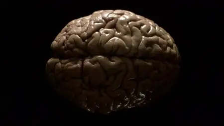 PBS - The Brain with David Eagleman (2015)