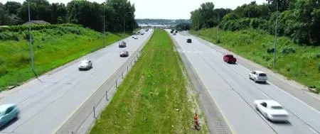 Roads, Trees and Honey Bees (2019)