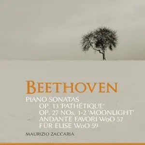 Maurizio Zaccaria - Beethoven - Piano Sonatas, Opp. 13 & 27 & Other Works (2020) [Official Digital Download 24/88]