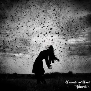 Cinortele - Sounds of Soul
