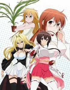 Sekirei (2008) [Season 1 Complete]