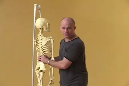 Anatomy for Yoga with Paul Grilley