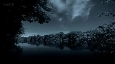 BBC - The Dark: Nature's Nighttime World (2012)