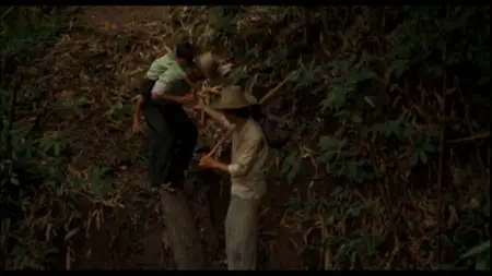 The Killing Fields (1984)