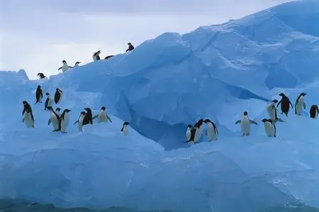 Beautiful views of Antarctica