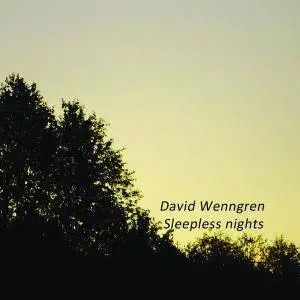 David Wenngren - Sleepless Nights (2009)