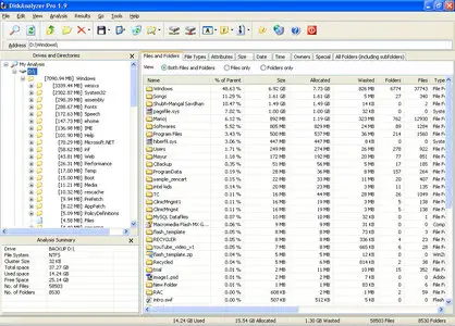 DiskAnalyzer Professional 3.0.2