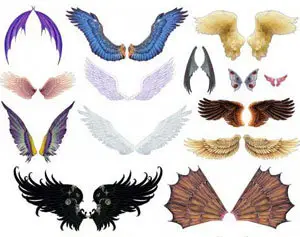 Feathers Wings - set of wings for Photoshop