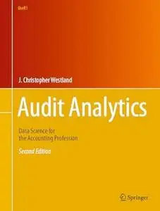 Audit Analytics (2nd Edition)
