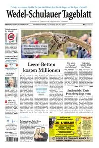 Wedel-Schulauer Tageblatt - 06. Juni 2020