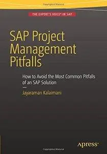SAP Project Management Pitfalls: How to Avoid the Most Common Pitfalls of an SAP Solution
