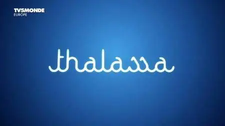 TV5Monde Thalassa - Siam: à chacun son royaume (2016)