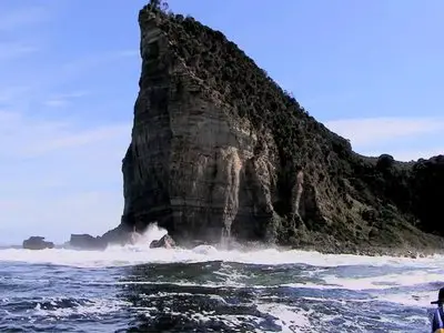 A Dingo's Tale (2011)